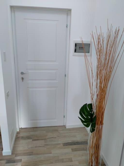 Suite Room Malpensa B&B Cardano Al Campo Bagian luar foto